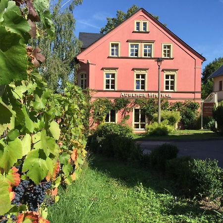 Wein-Hotel Auberge Mistral Freiberg Exterior foto